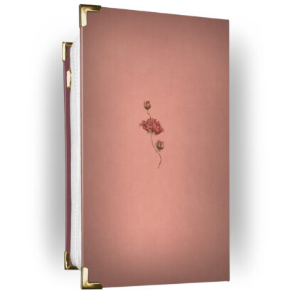 Cumbres Borrascosas - Emily Brontë - Imagen 3